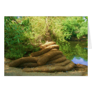 Tronc d'arbre effrayant