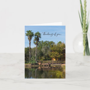Tropical Springs Paradise Penser À Votre Carte
