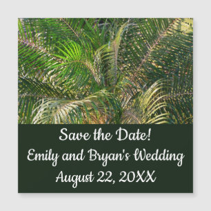 Tropique des contours de palmiers clairs du couche