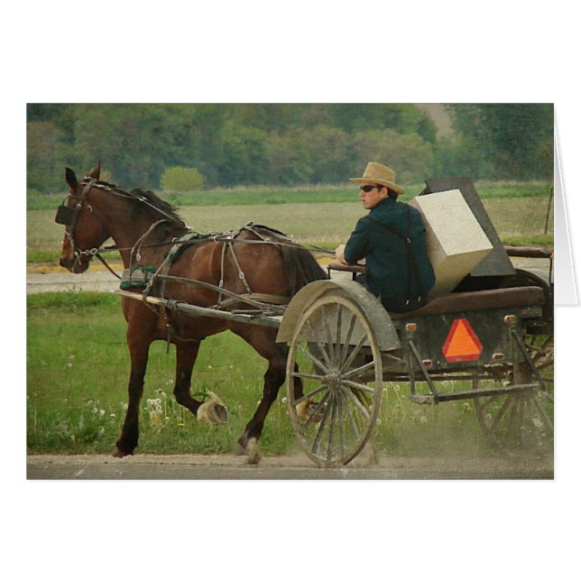 Trot à la maison (Devant horizontal)