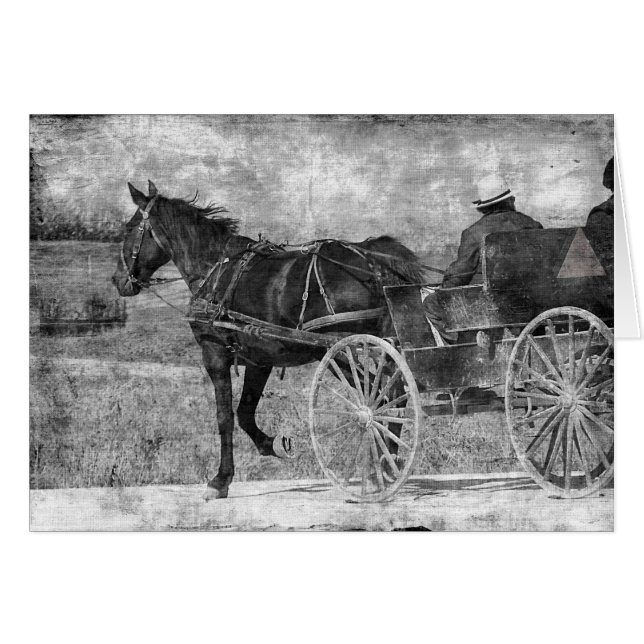 Trot Away Amish Horse in Black and White (Devant horizontal)