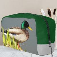Photo de la faune du Canard-de-Mallard à tête vert