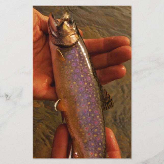 Trout à Hands (Devant)