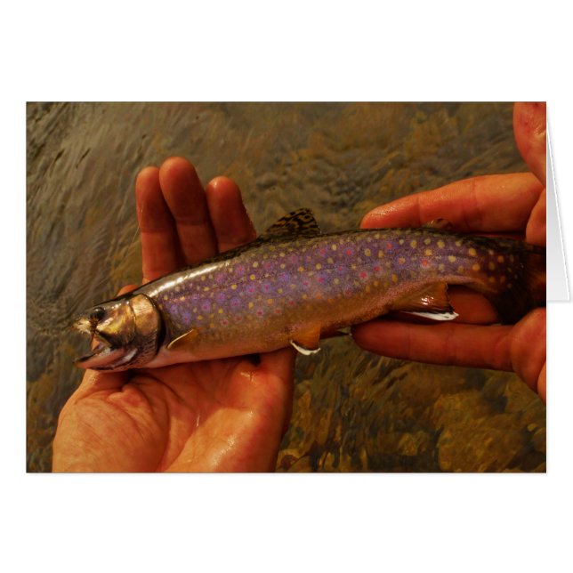 Trout à Hands (Devant horizontal)