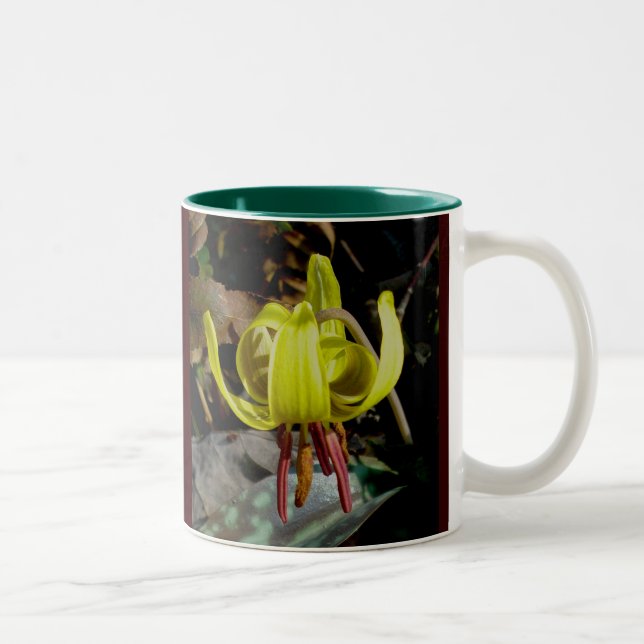 Trout Lily #1 Mug (Droit)