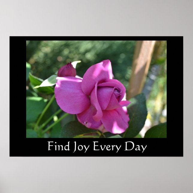 Trouver Joy Rose Inspirational Poster (Devant)
