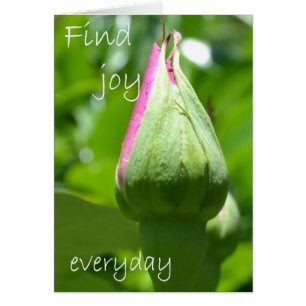 Trouver la joie tous les jours