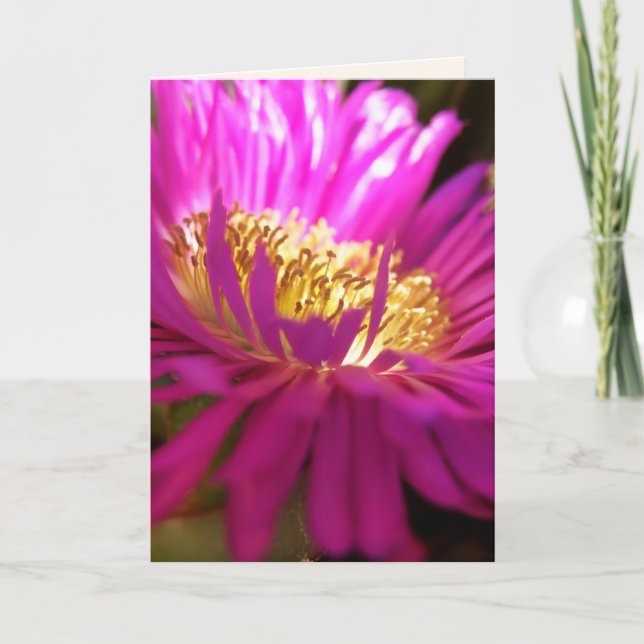 trouver la lumière - carte macro photo (Devant)