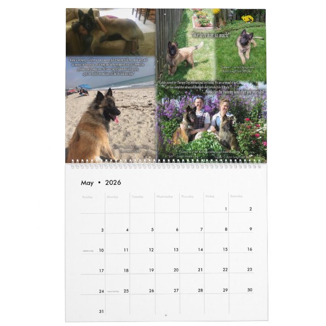 True Knight Tervuren Puppy Review Calendrier 1 (Mai 2026)