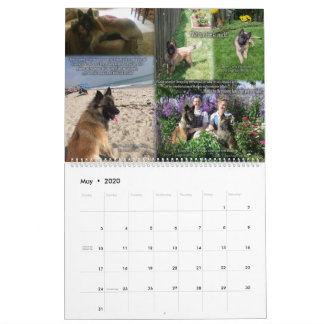 True Knight Tervuren Puppy Review Calendrier 1