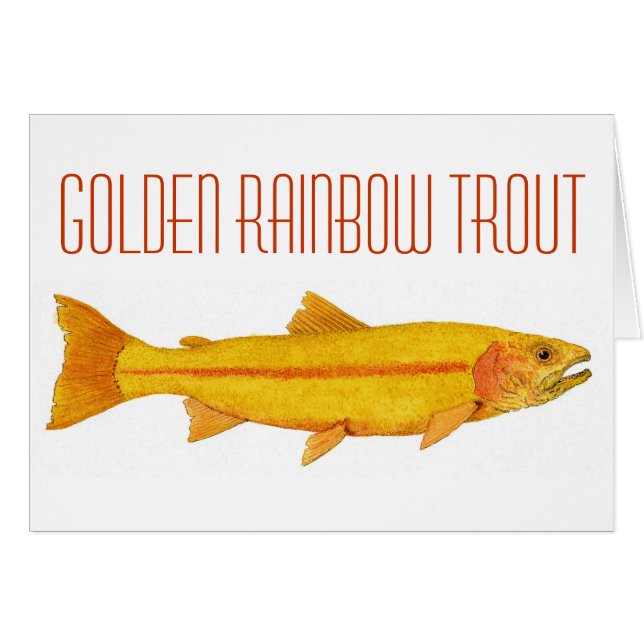 Truite arc-en-ciel d'or (Devant Horizontal)