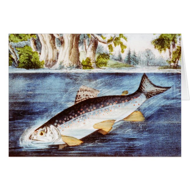 Truite ferrée - Art fin vintage (Devant horizontal)