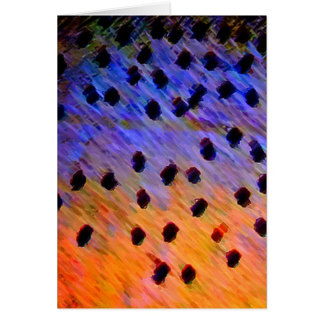 Truite impitoyable - carte (Devant)