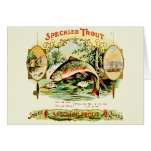 Truite mouchetée Boîte à cigares Vintage Salutatio