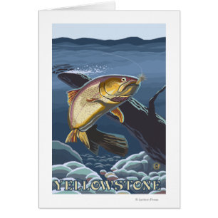 Truite pêchant la section transversale 2