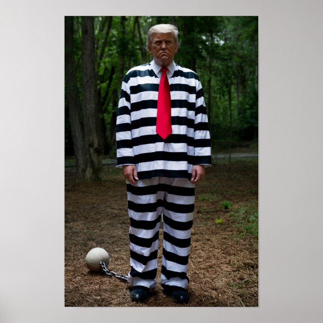 Trump Jail Poster (Devant)