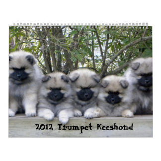 Trumpet Keeshond Calendrier 2012