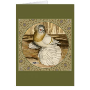 Trumpeter Pigeon Gold Frame