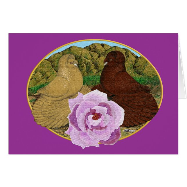 Trumpeter Pigeons et Rose (Devant Horizontal)