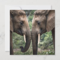 "Trunk to Trunk : A Gentle Elephant Embrasser"