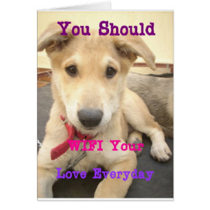 Tu Devrais WIFI Ton Amour Tous Les Jours