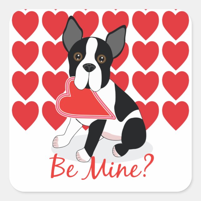 Tu Es À Moi ? Stickers Boston Terrier Valentine's  (Devant)