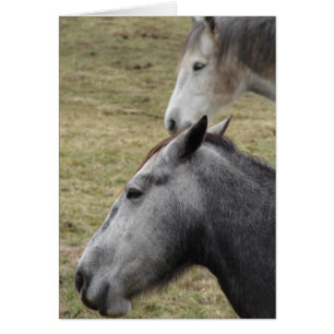 Tu M'As Fait Mais Je T'Aime Toujours