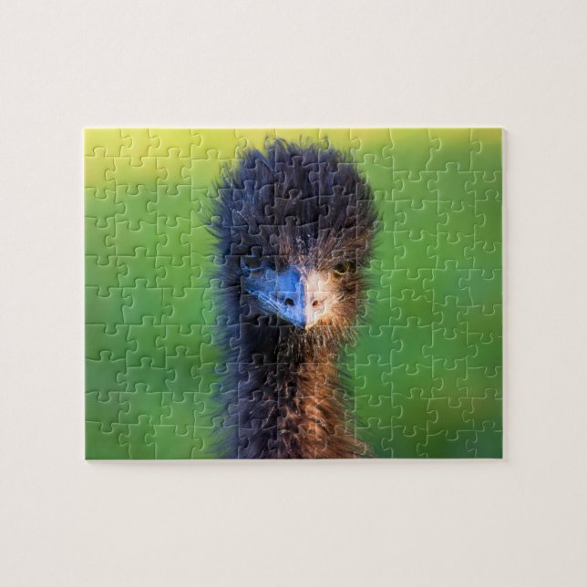 Tu me cherches ? - Puzzle Emu Jigsaw - 8x10 (Horizontal)