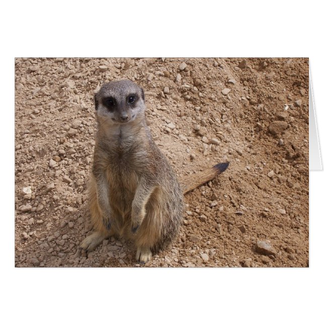 Tu me fais sourire (Devant horizontal)