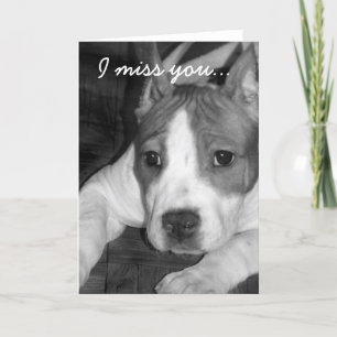 Tu me manque carte de voeux de pitbull