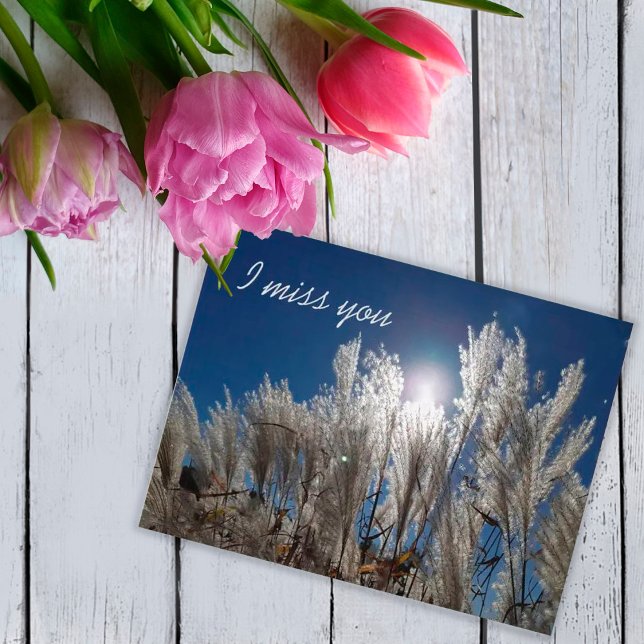 Tu me manques Carte postale (Créateur téléchargé)