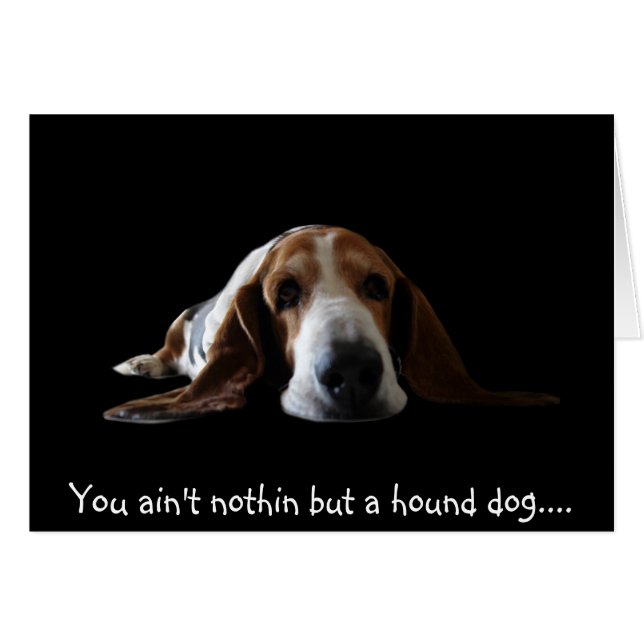 Tu n'es rien d'autre qu'un chien de chien (Devant horizontal)