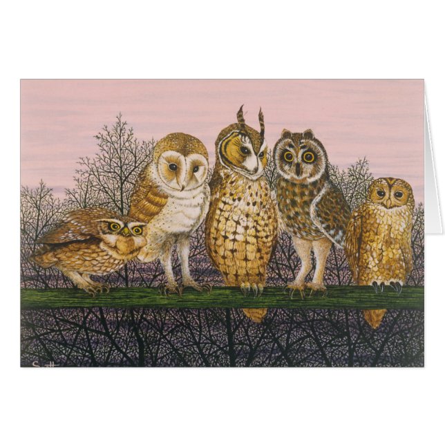 TU-Pentecôte TU-whooing (Devant horizontal)