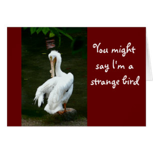 "TU POURRAIS DIRE QUE JE SUIS UN OISEAU ÉTRANGE...