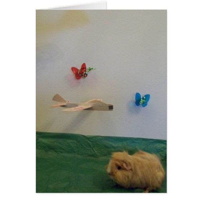 Tu remplis ma vie de caprice (Devant)