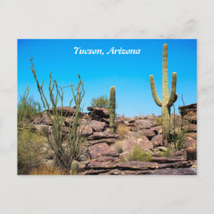 Tucson Arizona, Désert Sud-Ouest, Carte Postale Ca