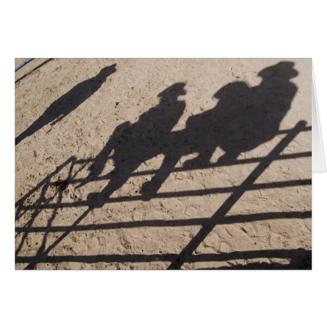 Tucson, Arizona : ombres de concurrents de Rodéo (Devant horizontal)
