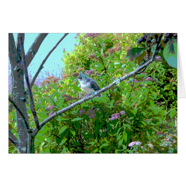 Tufé souris de tireur oiseau bébé (Devant horizontal)