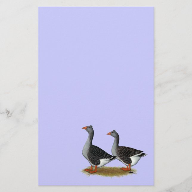 Tufted toulouse Geese (Devant)
