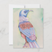 Tui - carte postale