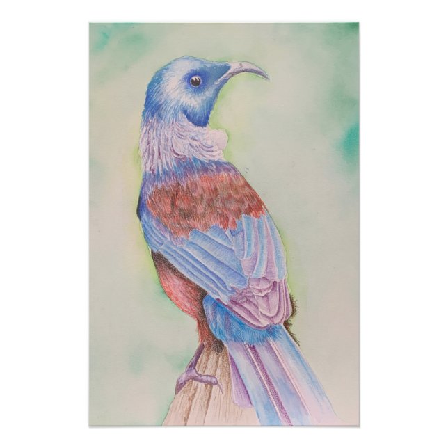 Tui - poster (Devant)