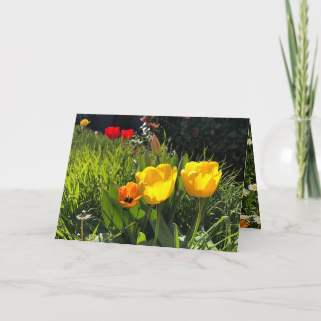 Tulières de carte de fleurs de printemps jaune pâq (Devant)