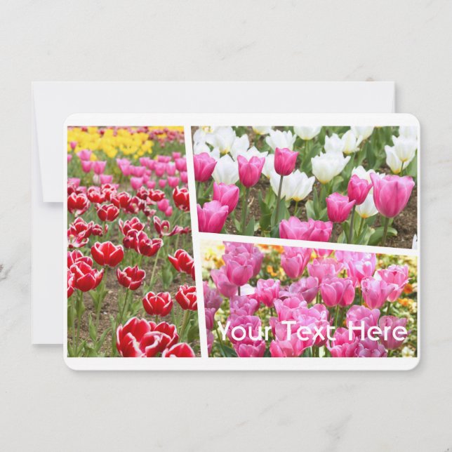 Tulip [Flat Card] (Devant)