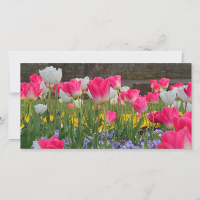 Tulip Garden Photocard (Devant)