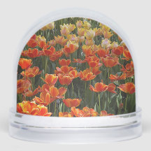 Tulip Globe des neiges