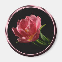 Tulip In Spring Double Bloom Photo Magnet