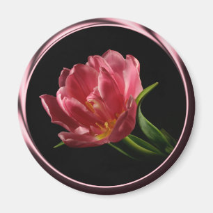 Tulip In Spring Double Bloom Photo Magnet