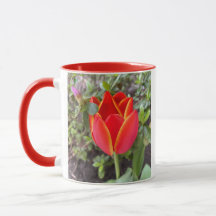 Tulip Mug