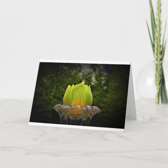 Tulip Poplar Blossom, carte (Devant)