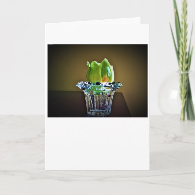 Tulip Poplar Blossom, carte (Devant)